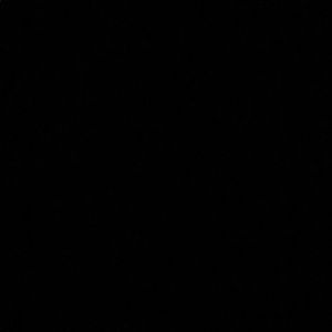 Meet your Posher, Lizeth